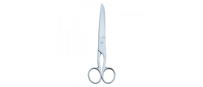House Hold and Taylor Scissors (9)